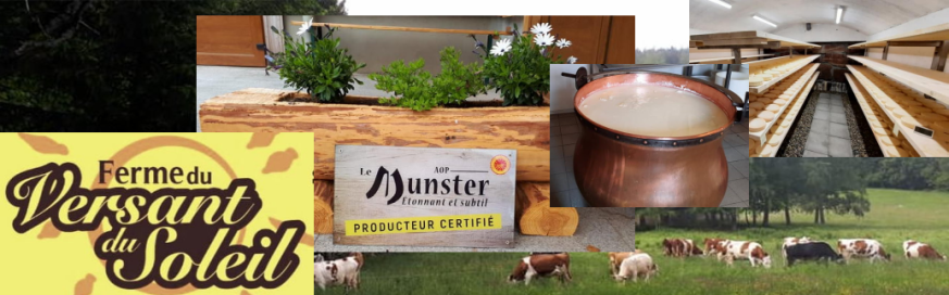 ferme versant du soleil; vente de produits laitiers dans la 
		Vallée de Munster