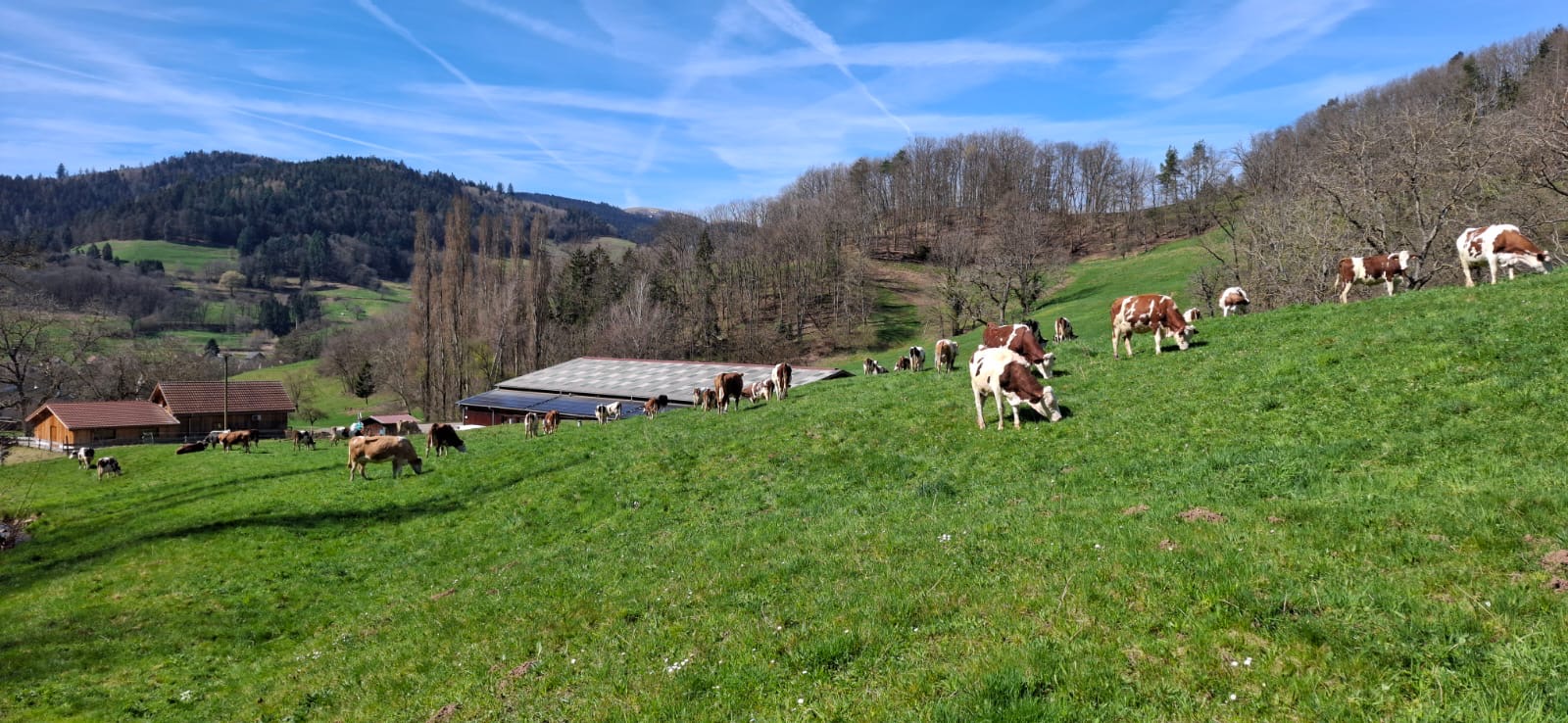 vue de la ferme